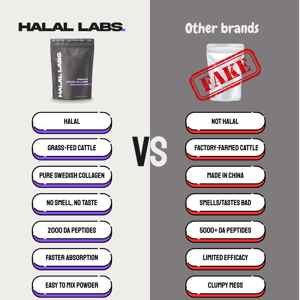 Premium Halal Bovine Collagen | Nourish From Within