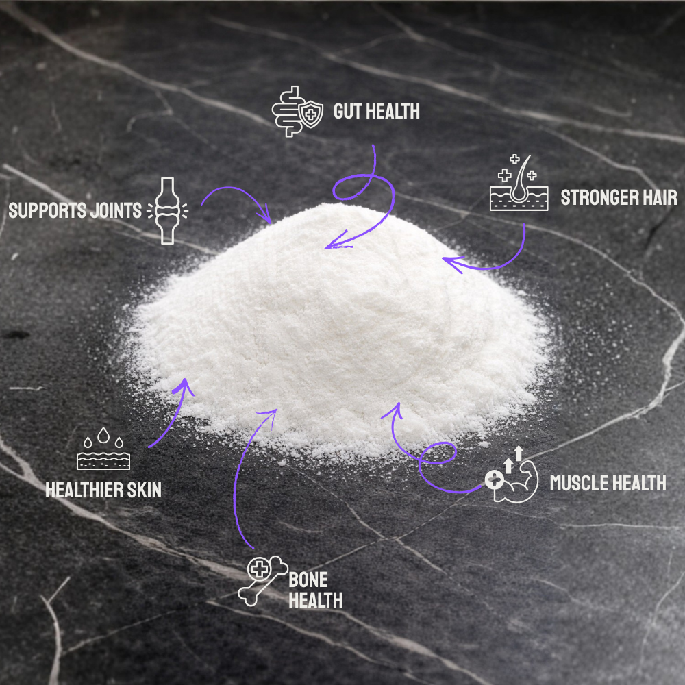 Premium Halal Bovine Collagen | Nourish From Within